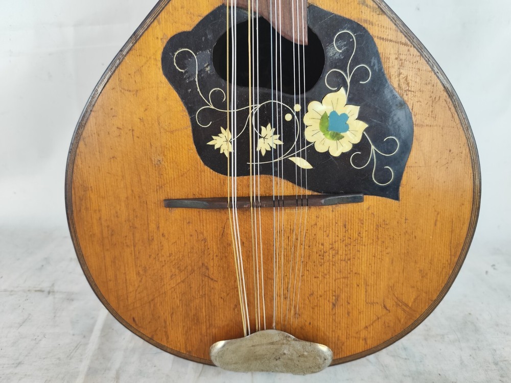 Hofner 1930 Germany 12 String 4/4 Mandolin 曼陀林 만돌린マンドリン