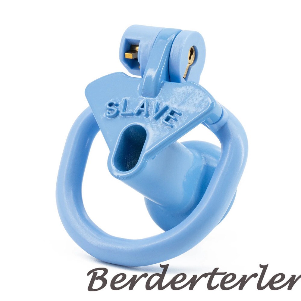 Sissy Positive/Negative Mini Chastity Cage Lock with Plug Slave 4 Sizes Rings
