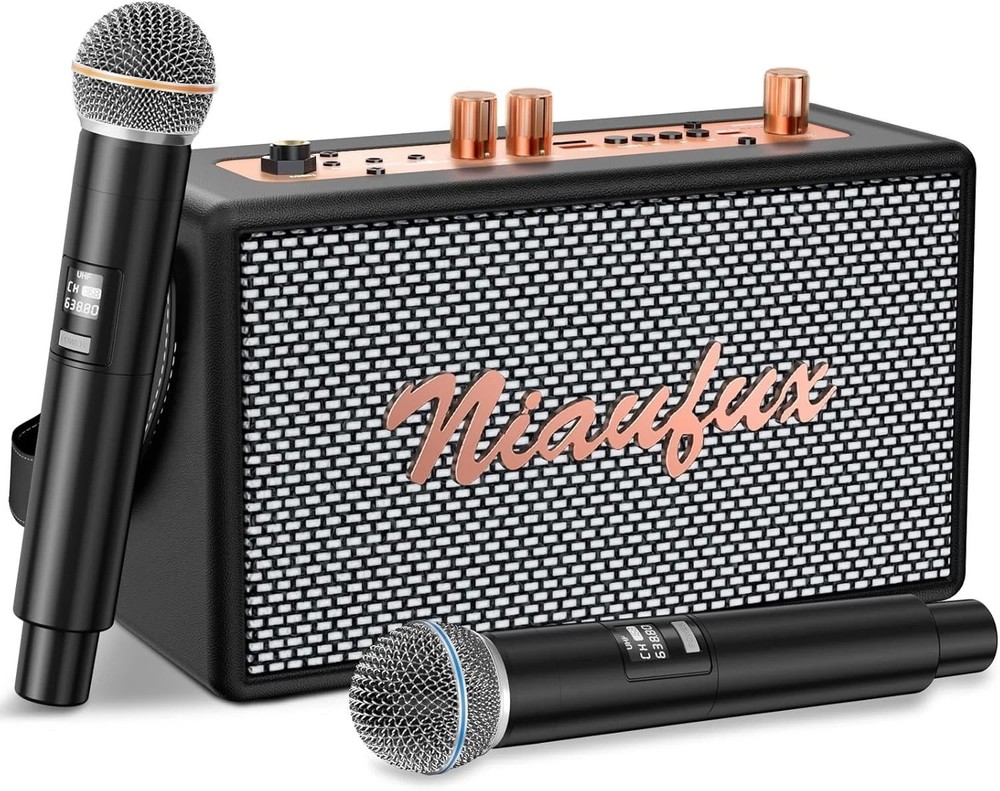 Portable Karaoke System with 2 Microphones