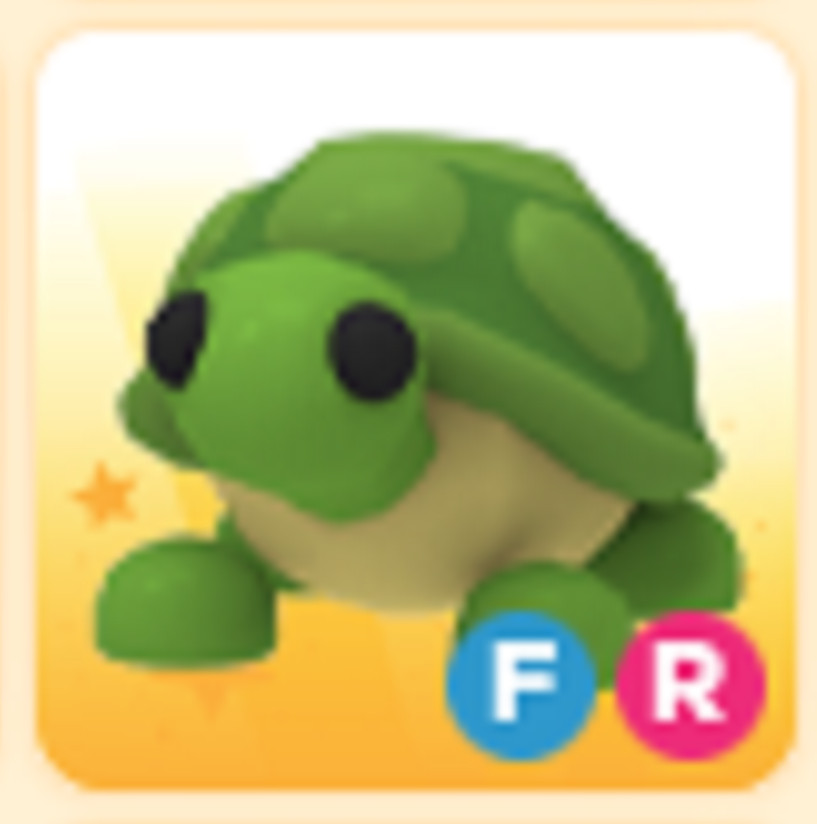 FR Turtle - The Trusted Store!!