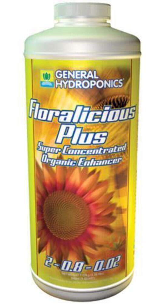 GH Floralicious Plus Quart