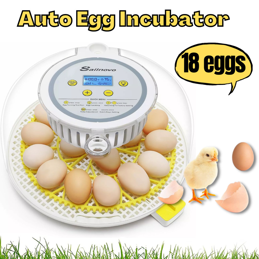 18 Egg Poultry Incubator for Hatching Chick Automatic Turning Stop Egg Incubator