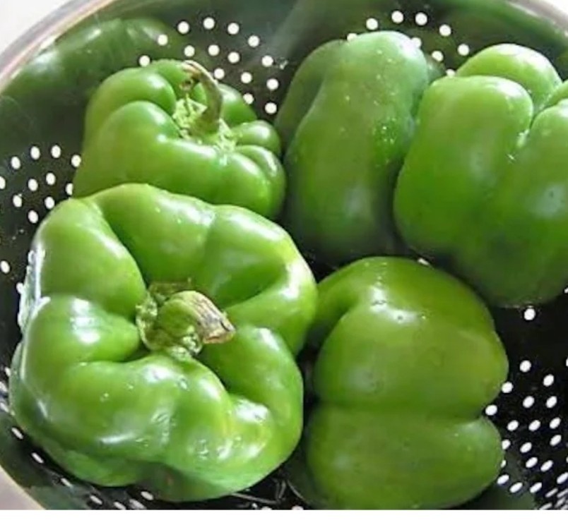 Green Bell Pepper Seeds — Non-GMO