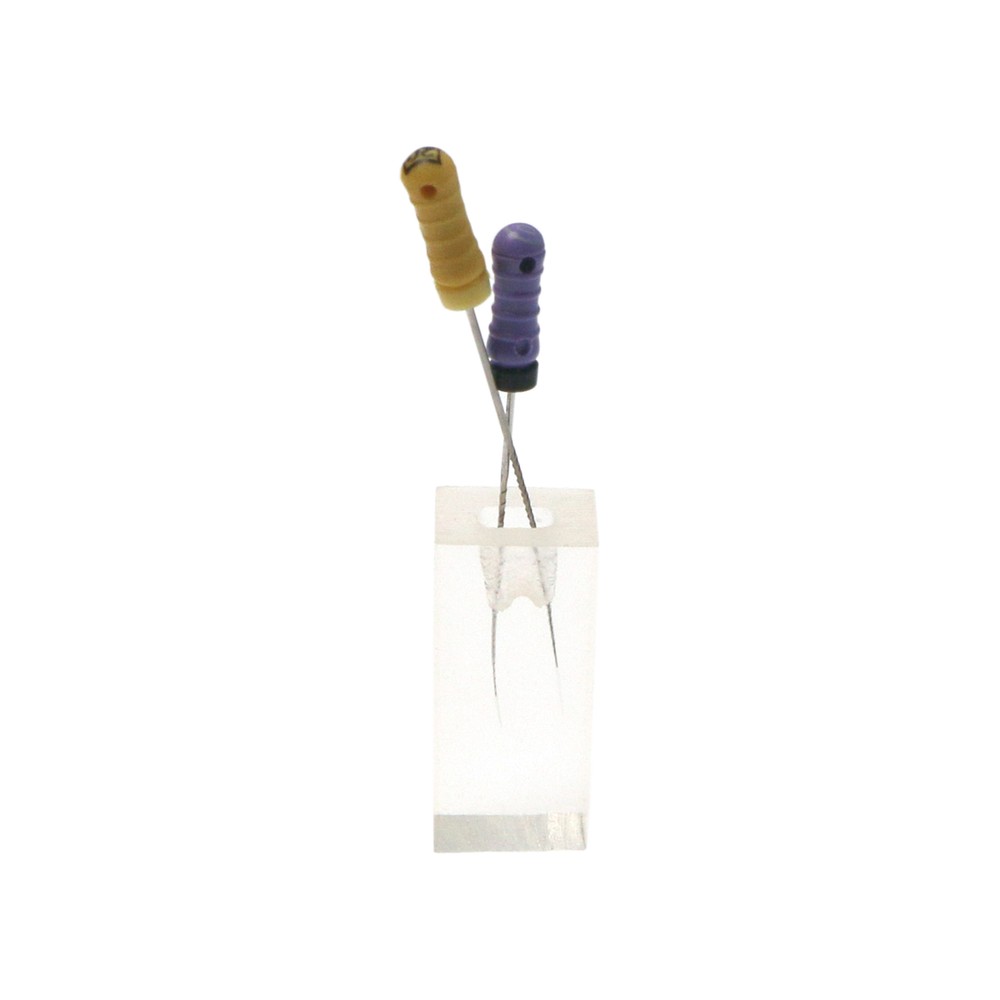 10Pcs Dental Endodontic Study Practice Operation Tooth Model Clear Root Canals