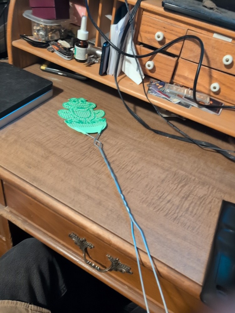 Frog Fly Swatter