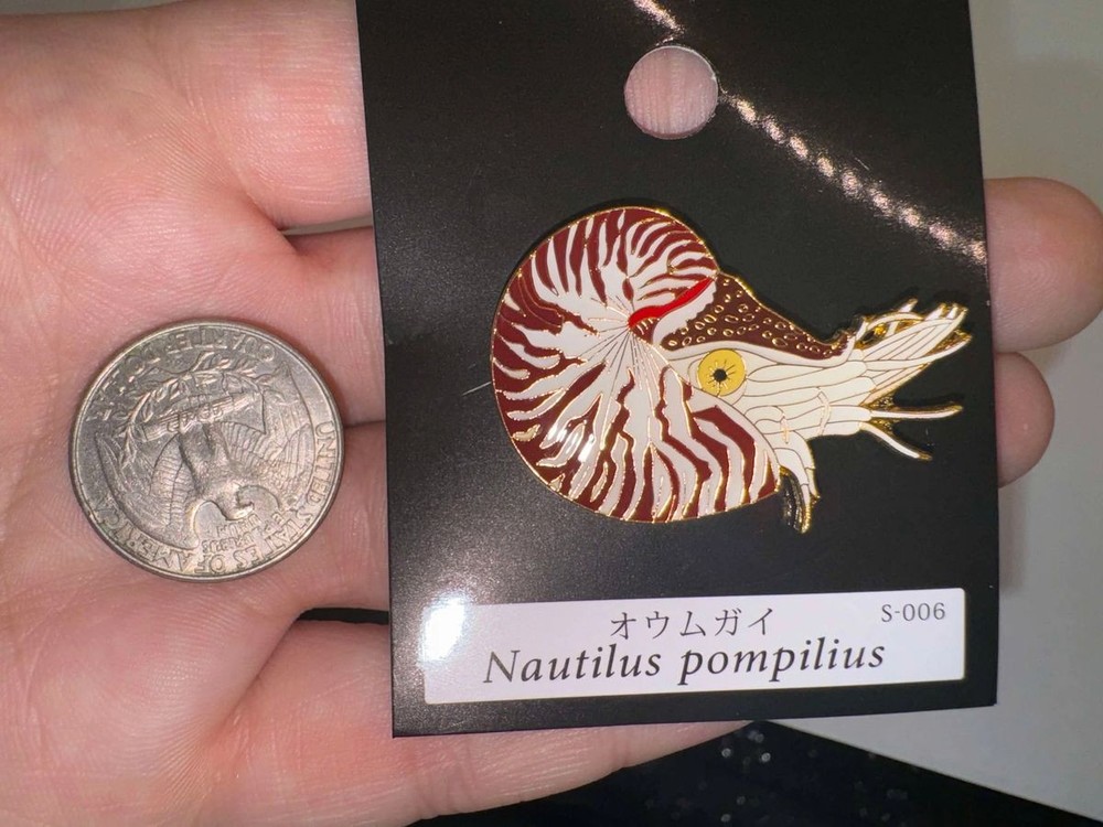 Nautilus Pin Badge from Japan