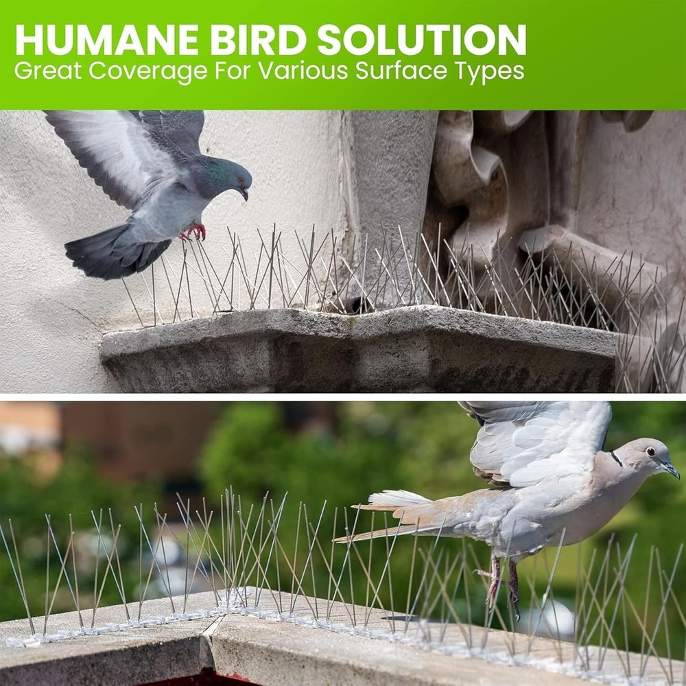 Versatile Stainless Steel Bird Spikes - 10ft Coverage, Effective & Humane