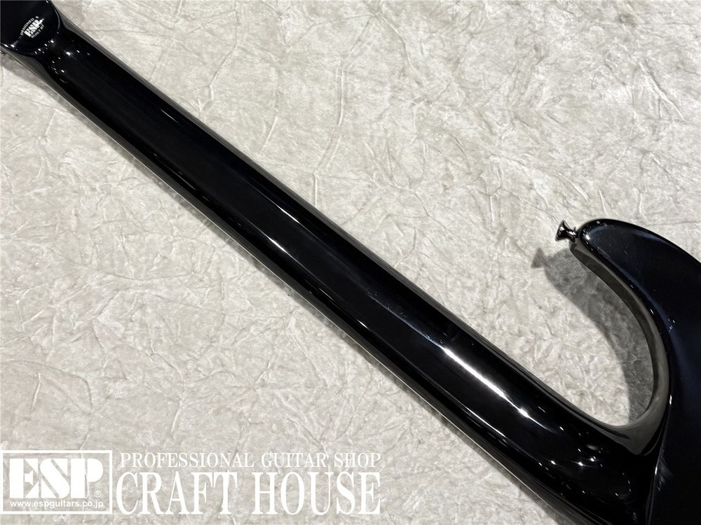 E-II HORIZON SGZ Custom Black