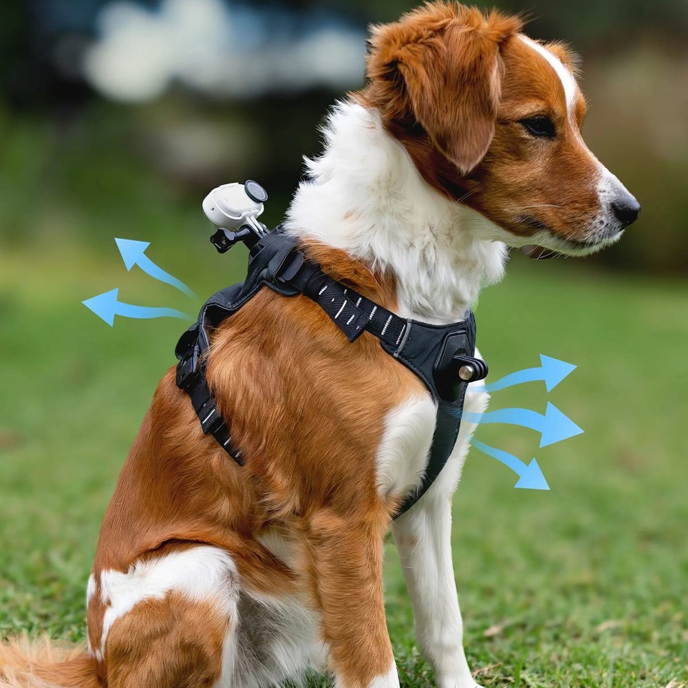 Insta360 Pet Harness Mount for Action Camera, Small