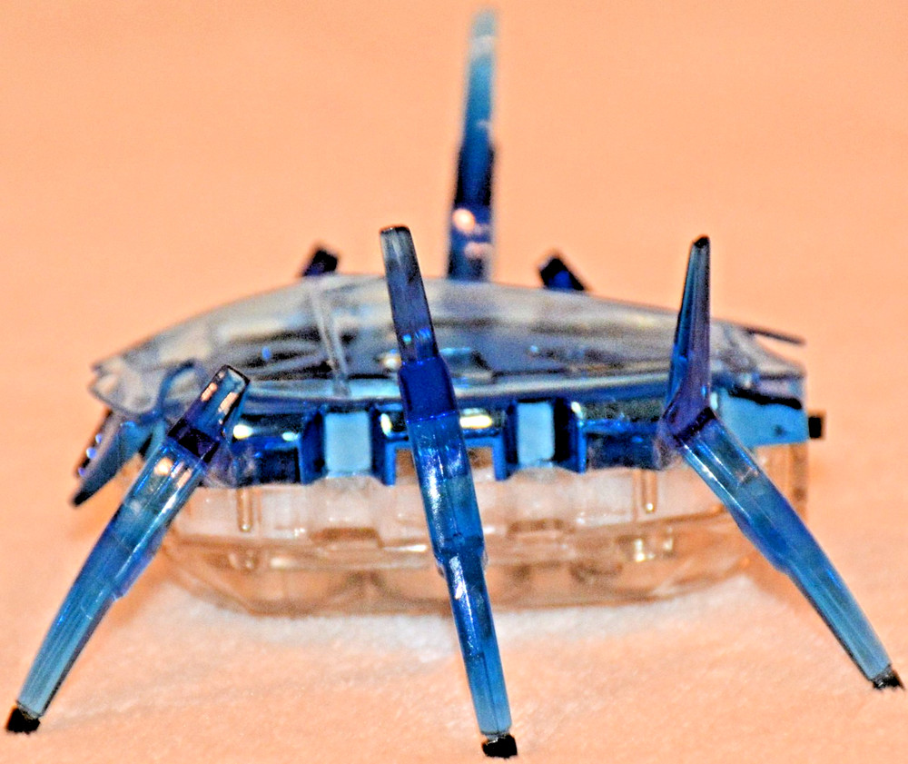 Hexbug Robotic Toys Micro Ant Spider Beetle Insect Creatures Remote Tech Scarab2