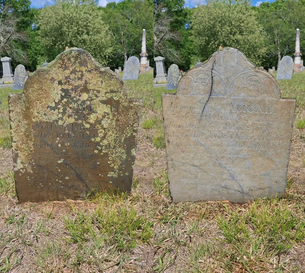 Endurance Restoration - Gravestone & Monument Cleaning - Pro Set