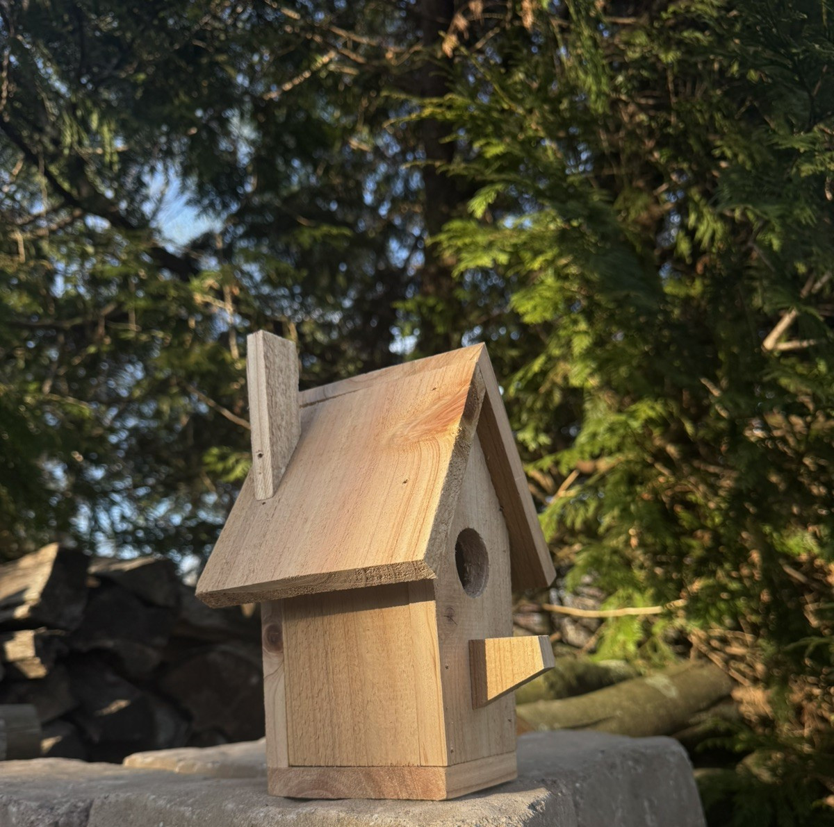 Handmade Cedar Birdhouse w/ Chimney Rustic Outdoor Wren Chickadee Nest Box