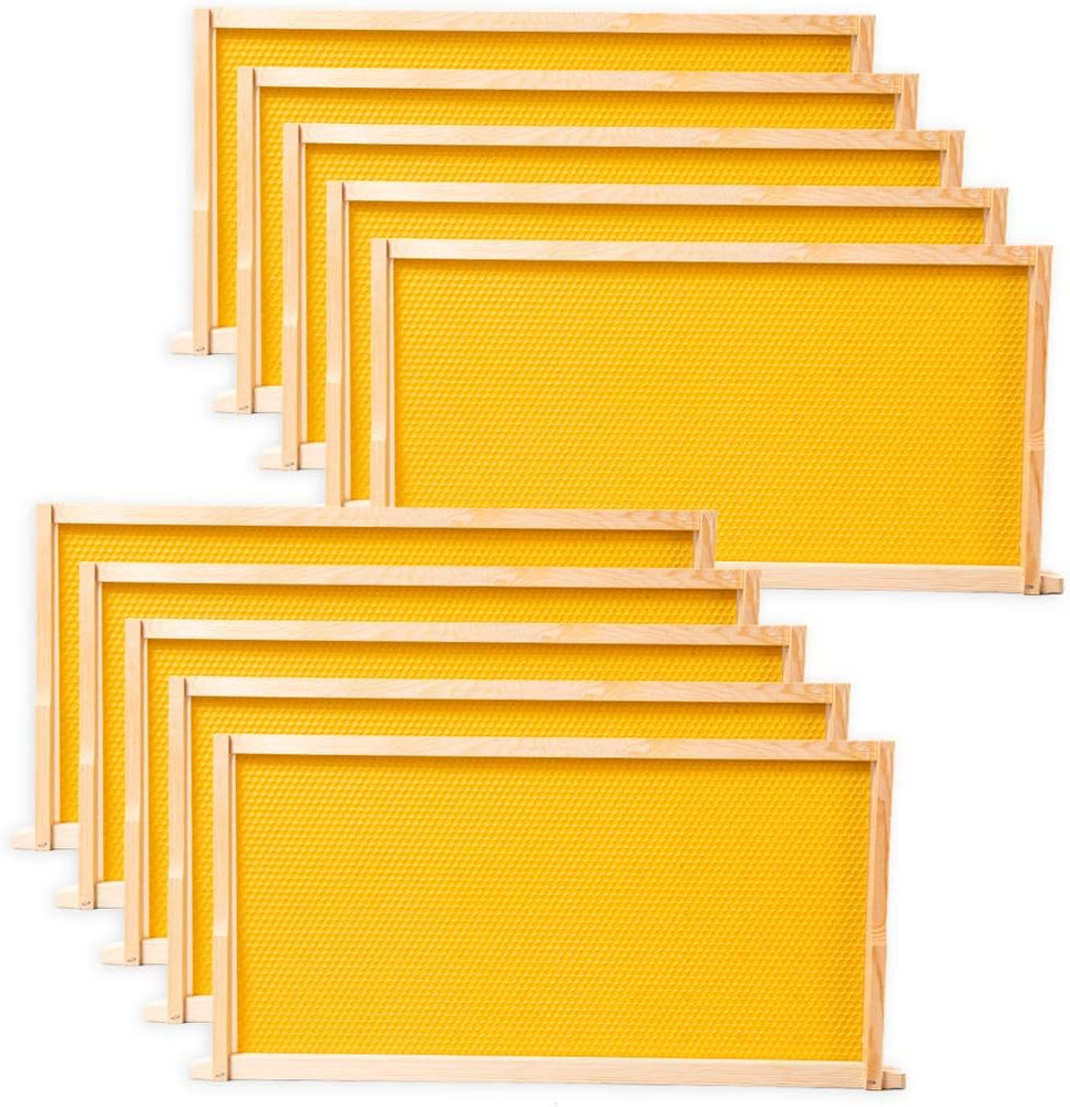 Deep Brood Beehive Frames with Wax Foundation,10 Pack Honey Bee Frames with 1...