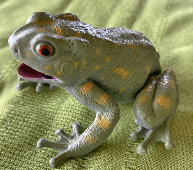 Exotic Frogs and Toads - Hollow Vinyl