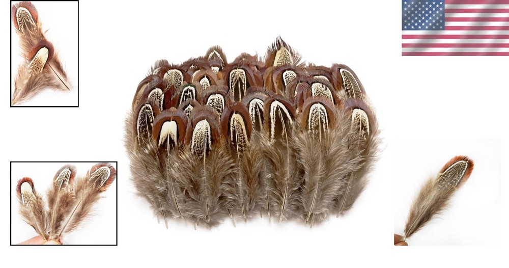 Eco-Friendly 50 Pcs Natural Pheasant Feathers - Ideal for Decorative Projects