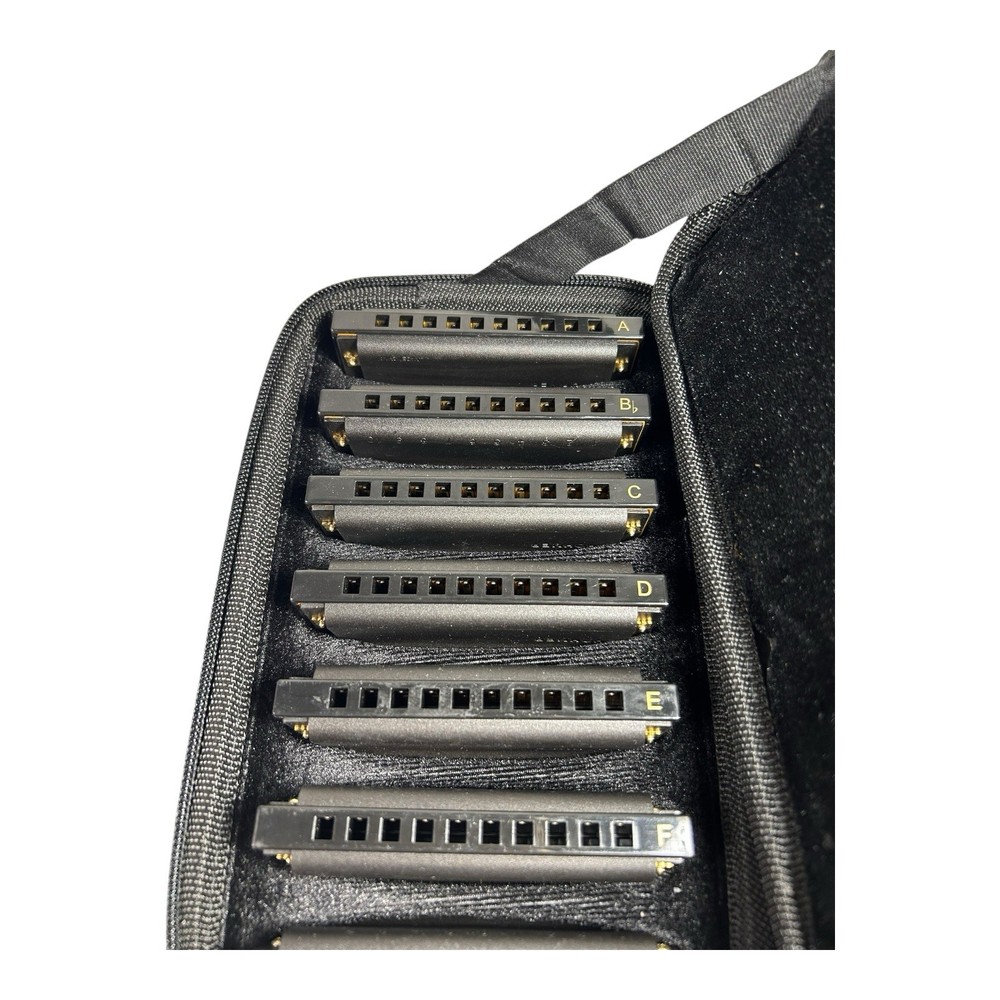 Hohner Piedmont Blues 7-Harmonica Set with Case