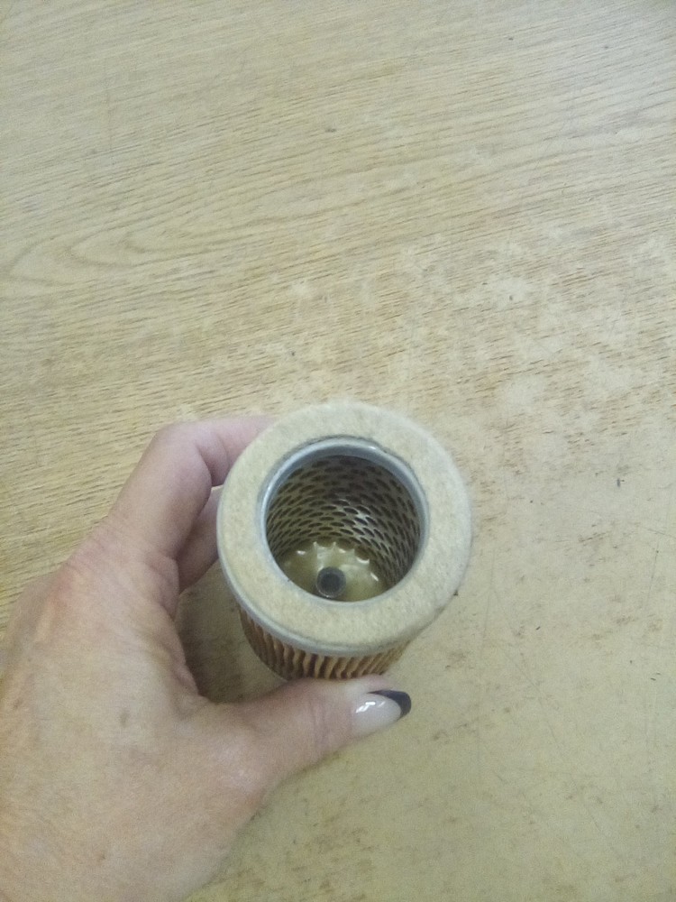 Vacuum Pump Air Filter 317957