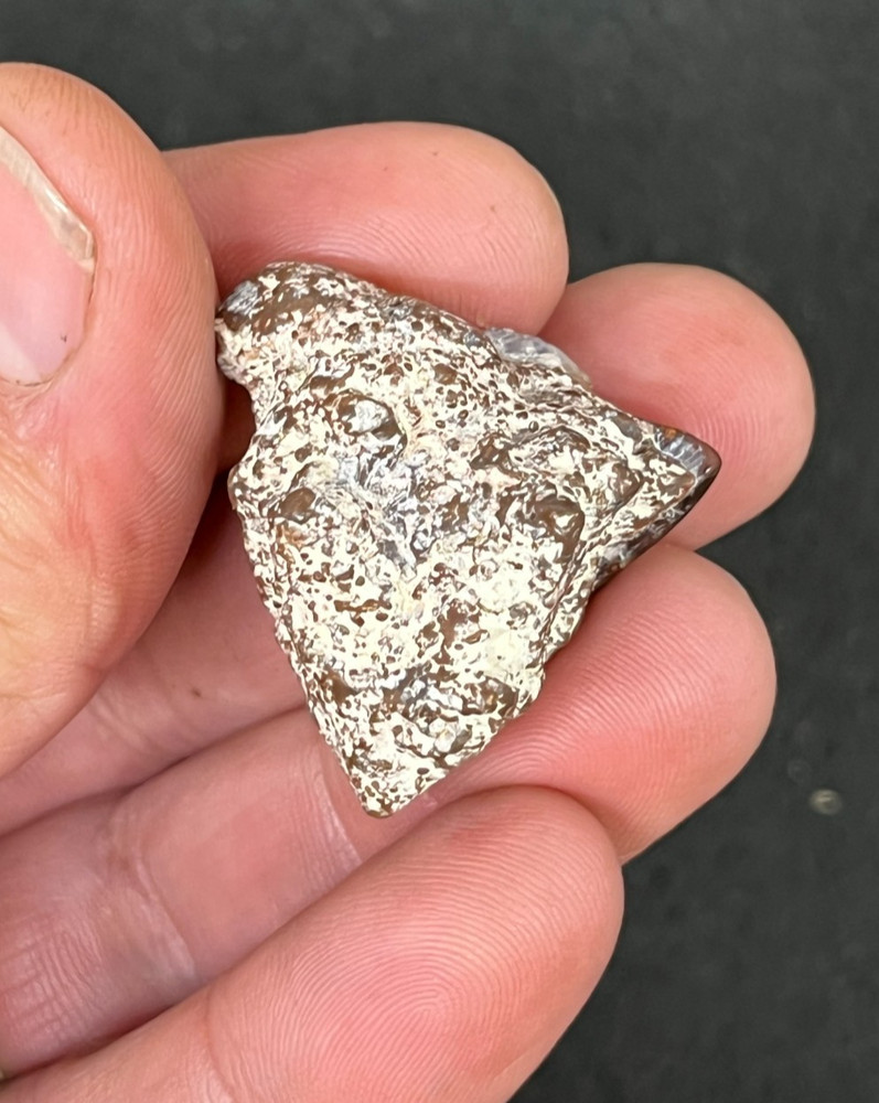 Fire Agate Polished Display