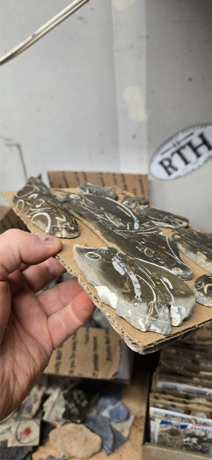 Purisma Formation Fossil Limestone, Cabochon Slabs Preforms 13 Pcs, Flat 135