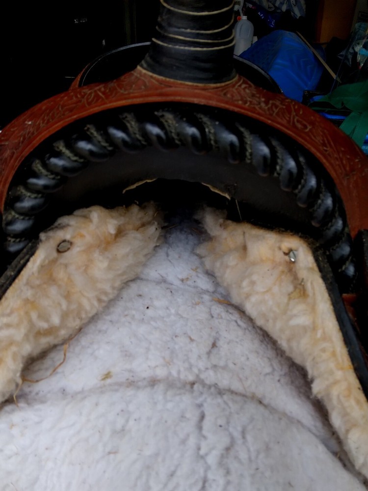 Beautiful Comfy Saddle