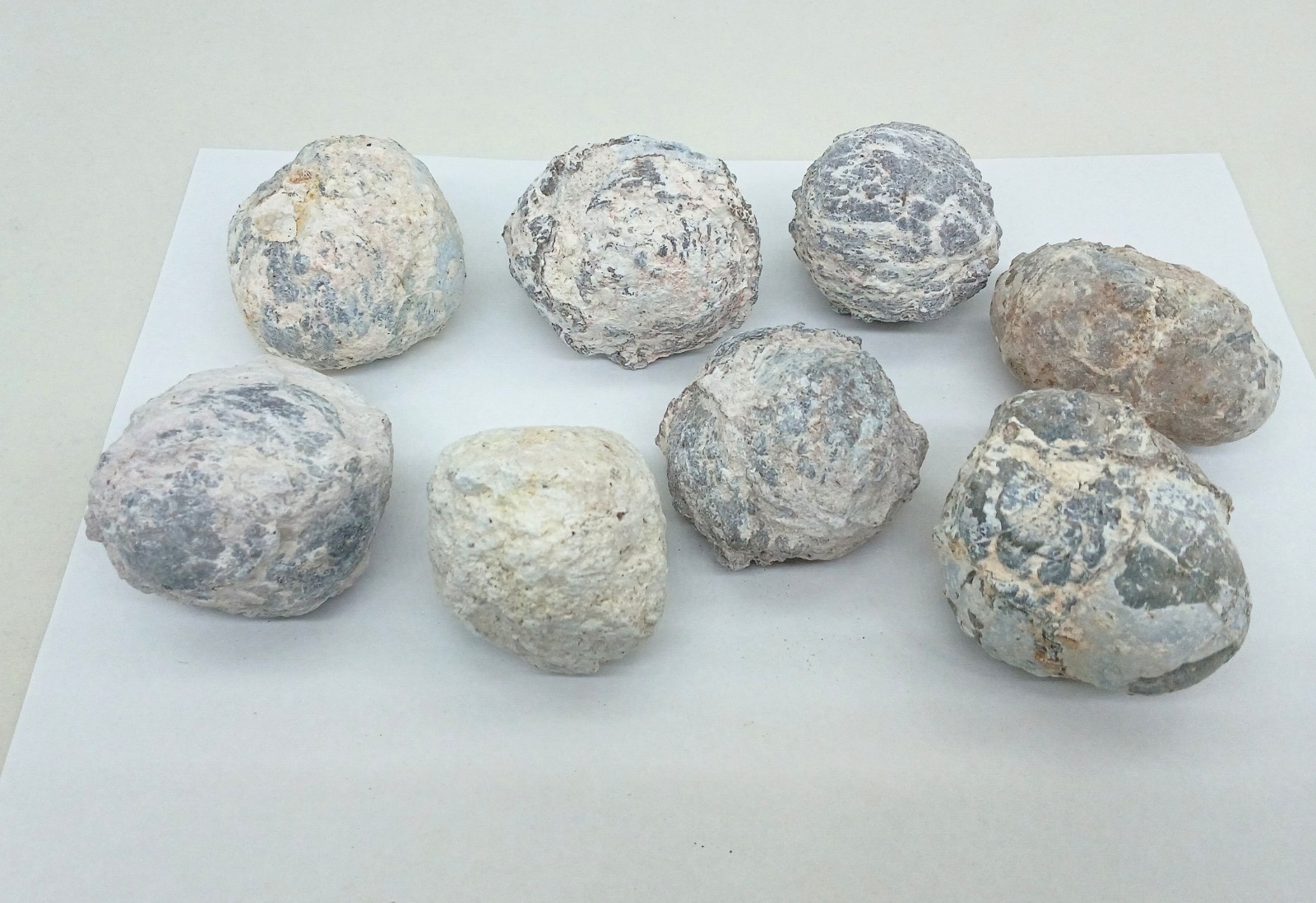 Bulk 2 Pound Group of Small Utah Dugway Geodes Thundereggs 1.50-2.00"
