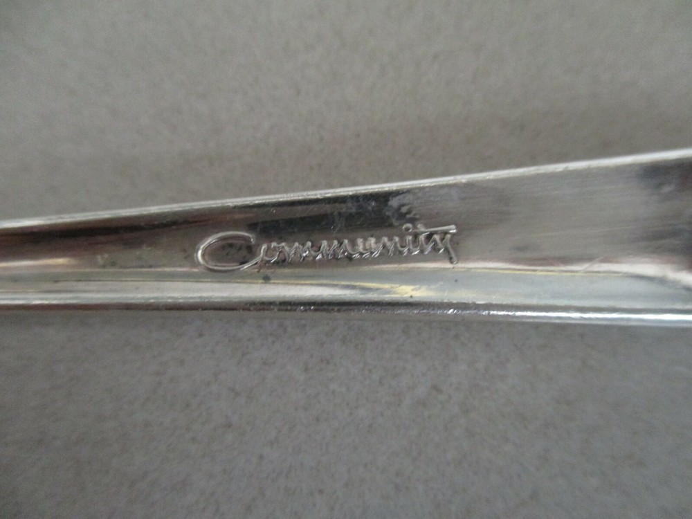 Oneida Community Silver Flower 6 5/8" Salad Fork Silverplate Flatware