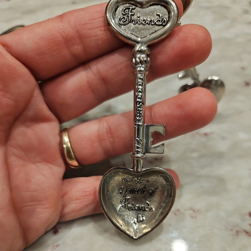 4 GANZ Collectible Measuring Spoons