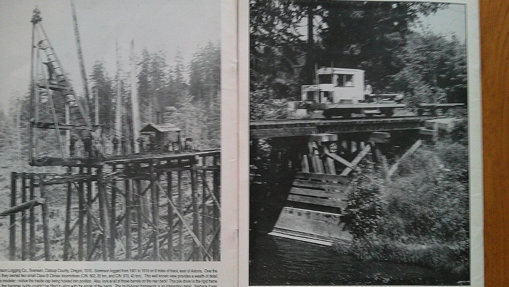 TIMBER TIMES FIRST 8 ISSUES # 1 thru #8 Logging & Lumbering, History, Modeling