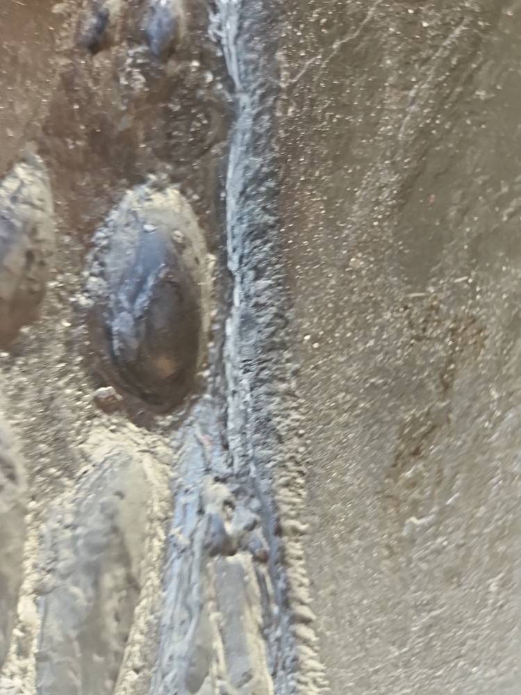 NOTHOSAURUS Skull Rare The Matrix