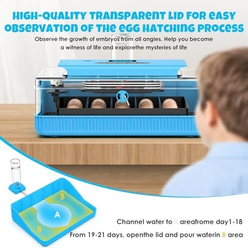 25 Egg Digital Incubator Machine with Automatic Turning, Temp & Humidity Control