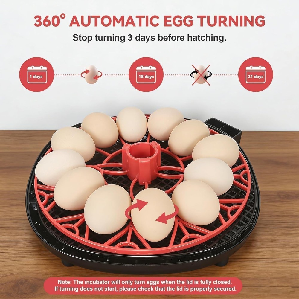 Gen II - 12 Egg Automatic Incubator, Two-Stage Humidity with Auto-Refill & St...