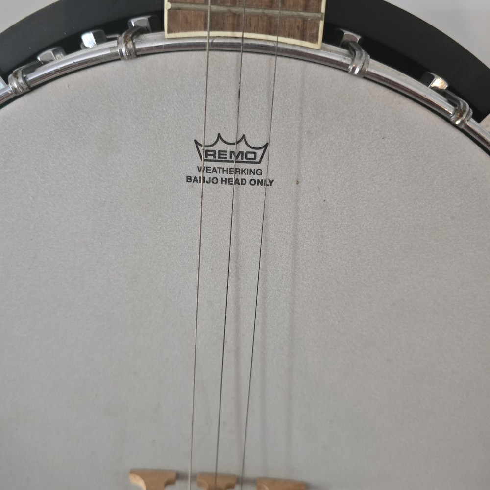 Davidson Banjo 4 String