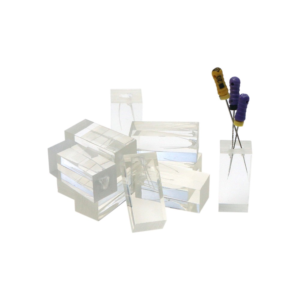 10PCS Dental Endodontic Root Canals Practice Model Endo Training Block Clear