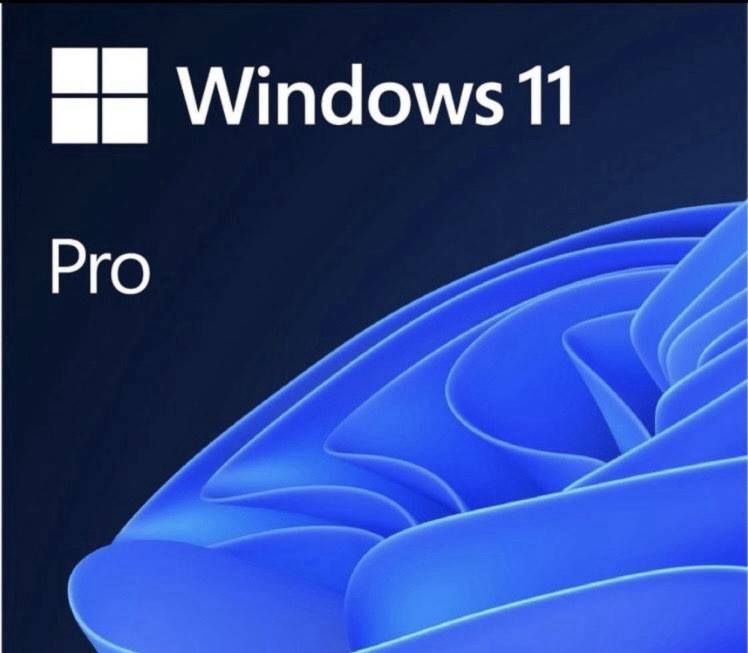New Microsoft Windows 11 Pro 64-Bit USB Same Day Shipping USB