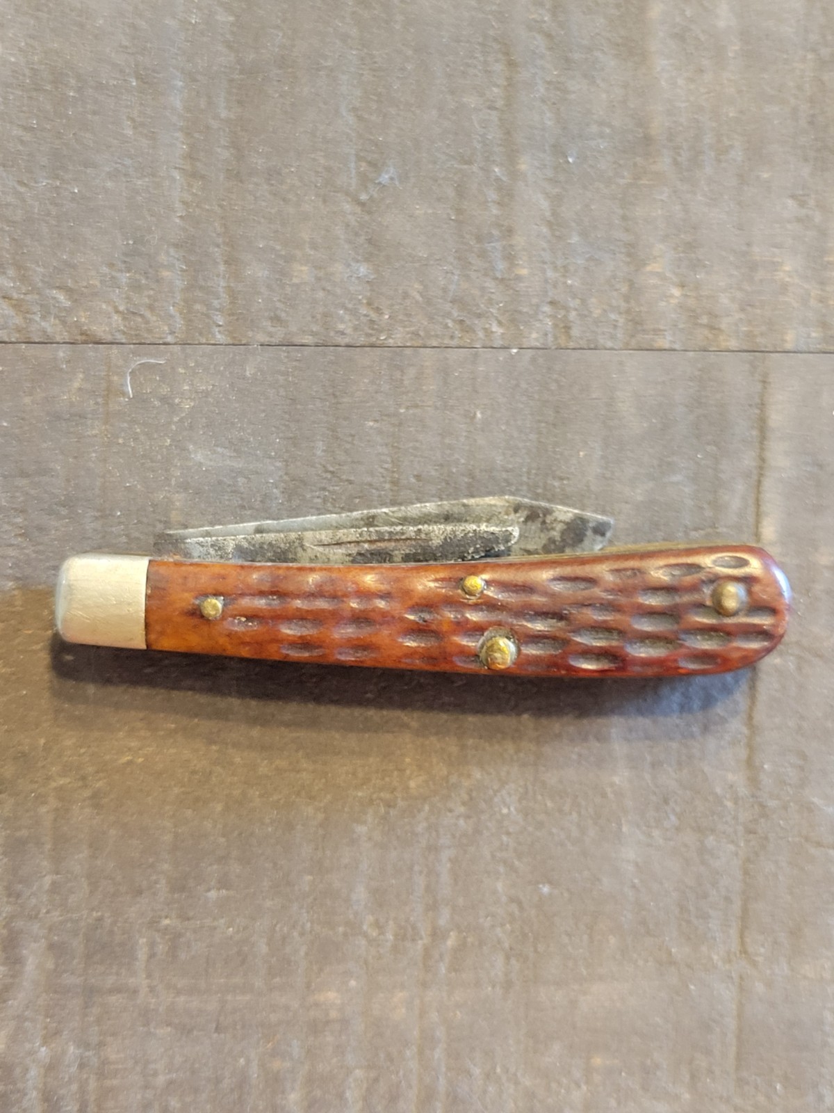 Case XX  6229 1/2 tadpole Pocketknife   Two-Blade Brown Clip Pen