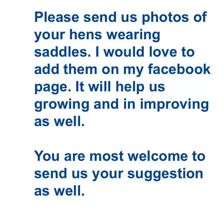 Elasticated Chicken Saddle Apron Hen Feather Protector Ducks Poultry | Egg Layer