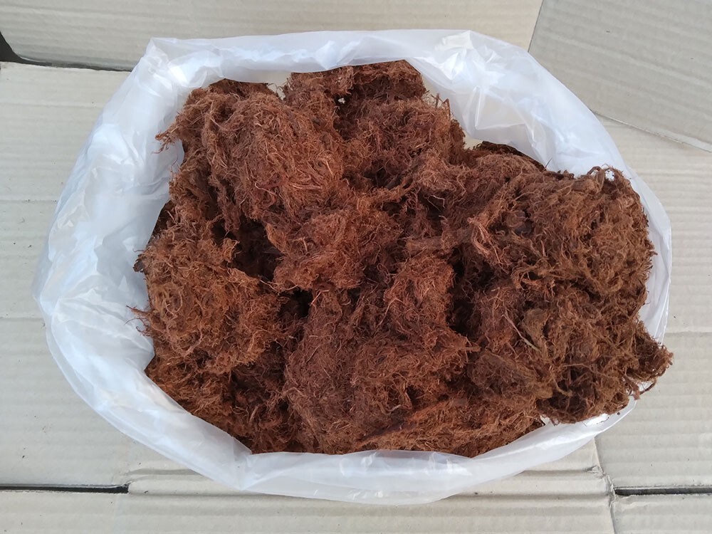500g Catechu Bark for simulating blackwater condition in aquarium, betta, fish