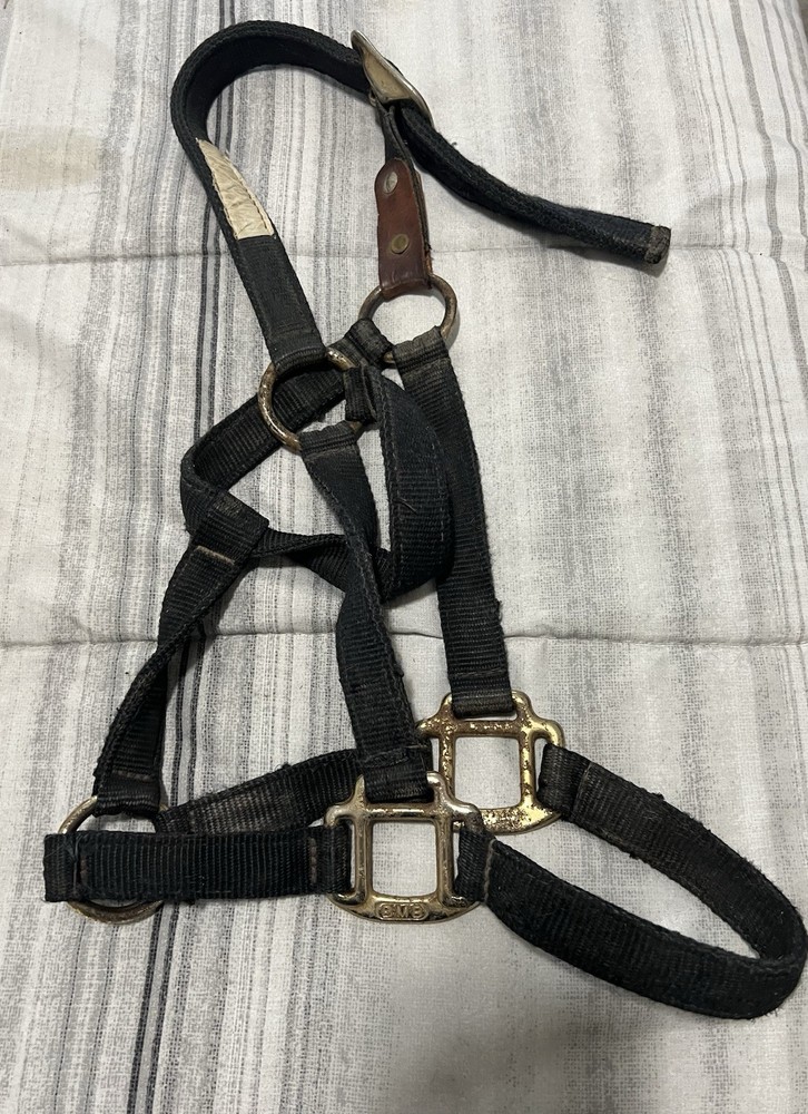 USED BMB Cob Size Black Nylon Halter