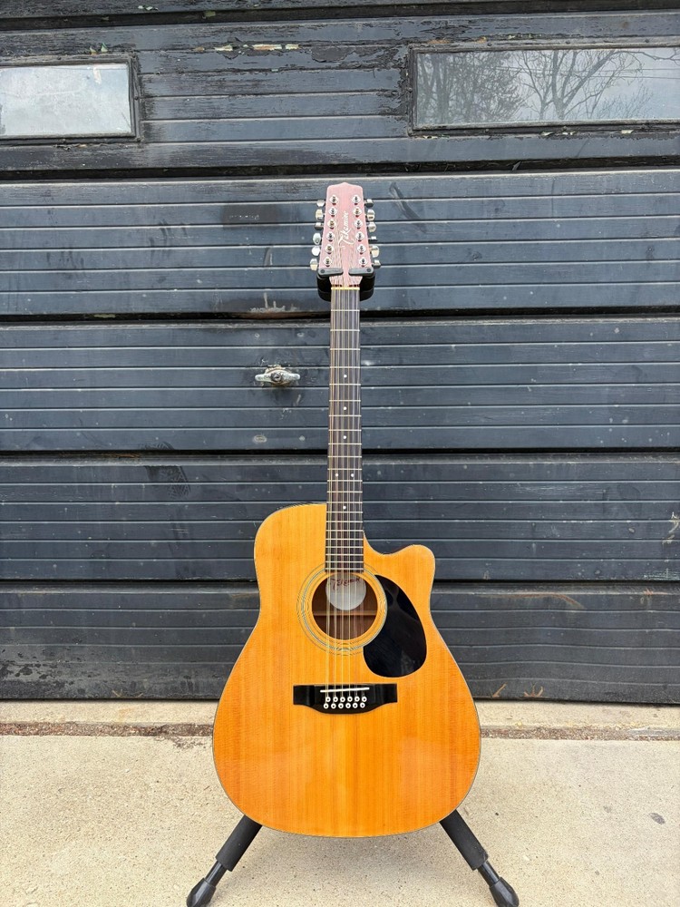 Takamine EG-335C