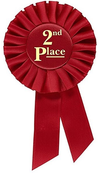 Rosette Premium Award Ribbons 1st 2nd 3rd 4th 5th Place Multipurpose Set