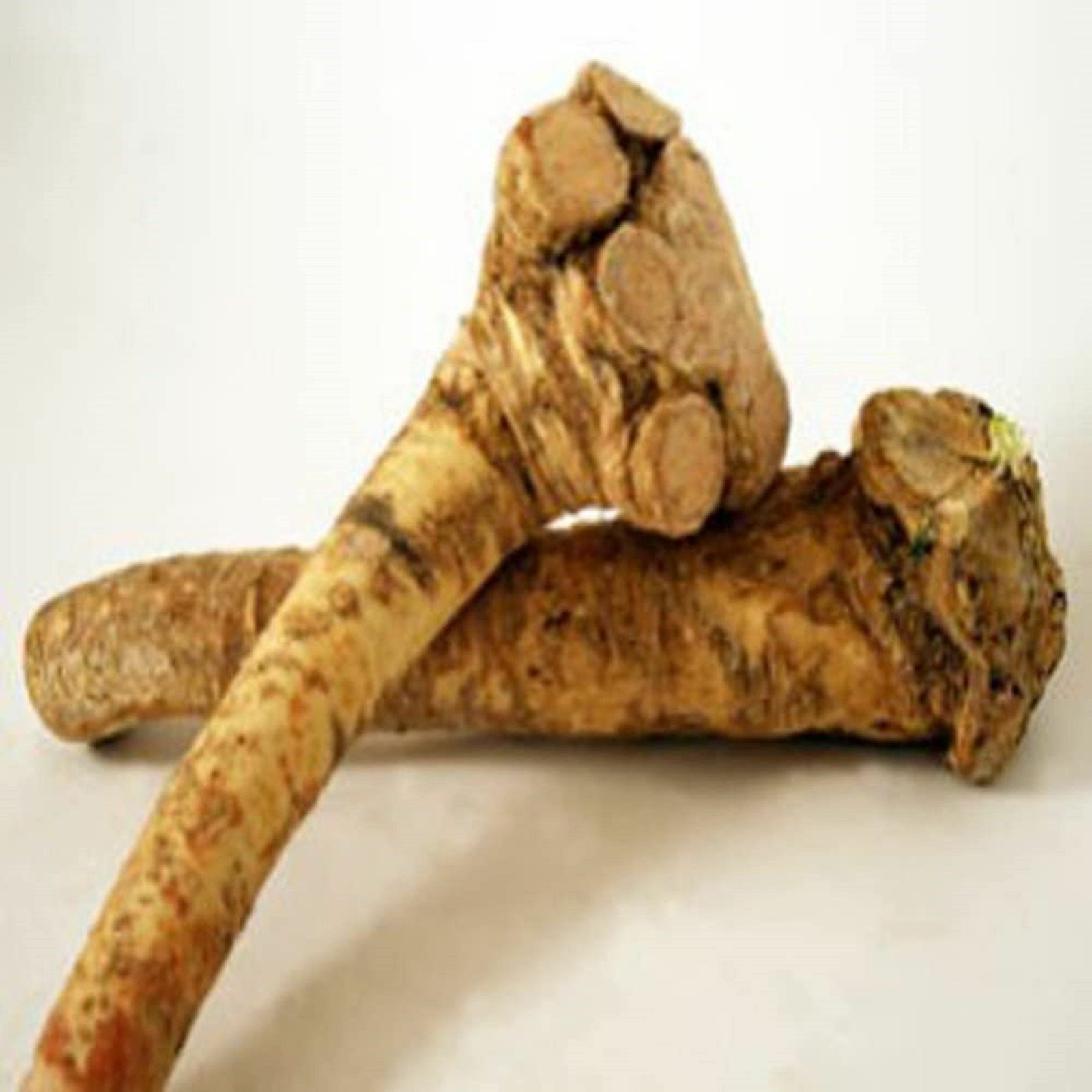 Horseradish Root whole, Ready for Eating, Planting. Can't Ship internationally.