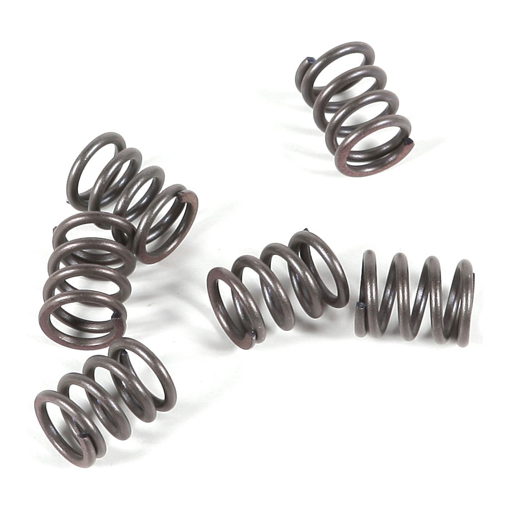 EBC CSK Clutch Spring Kit - CSK21