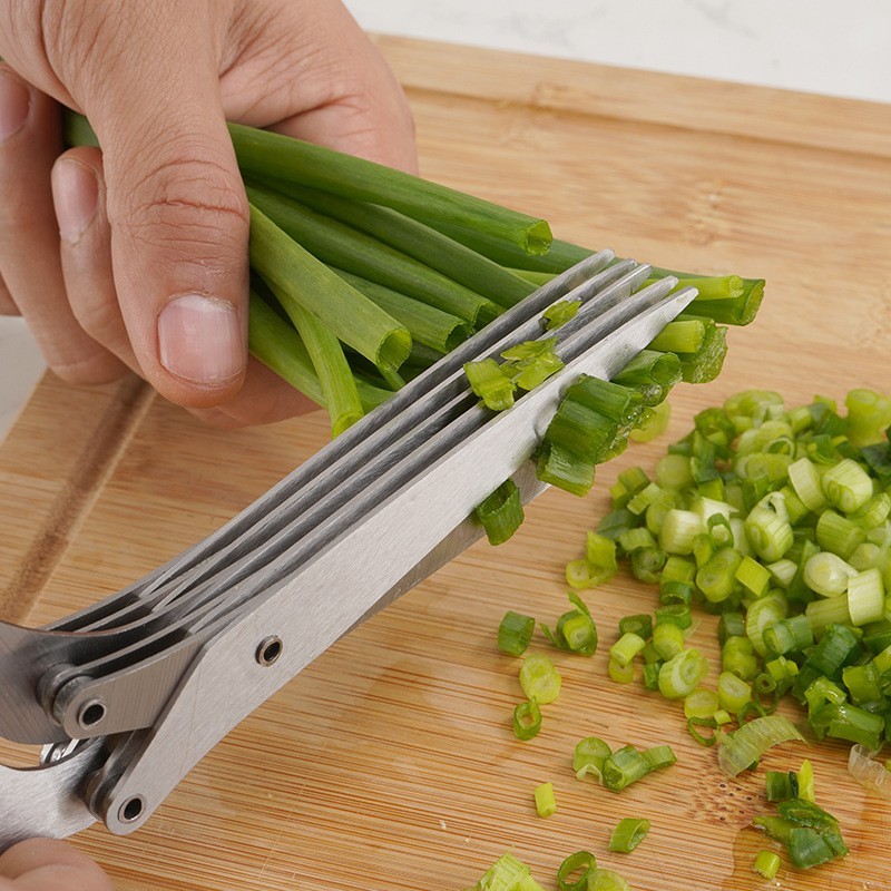 5-Blade Stainless Steel Scallion Cutter - Multi-Layer Herb & Kitchen Scissors