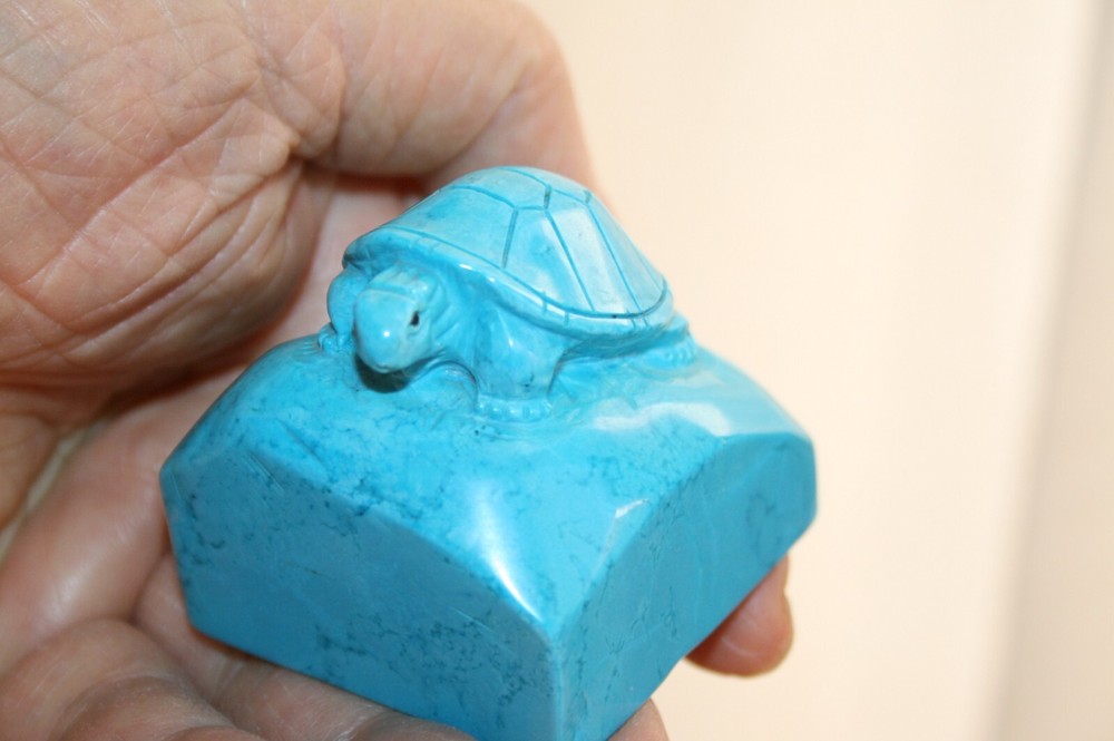 Turtle on a Rock