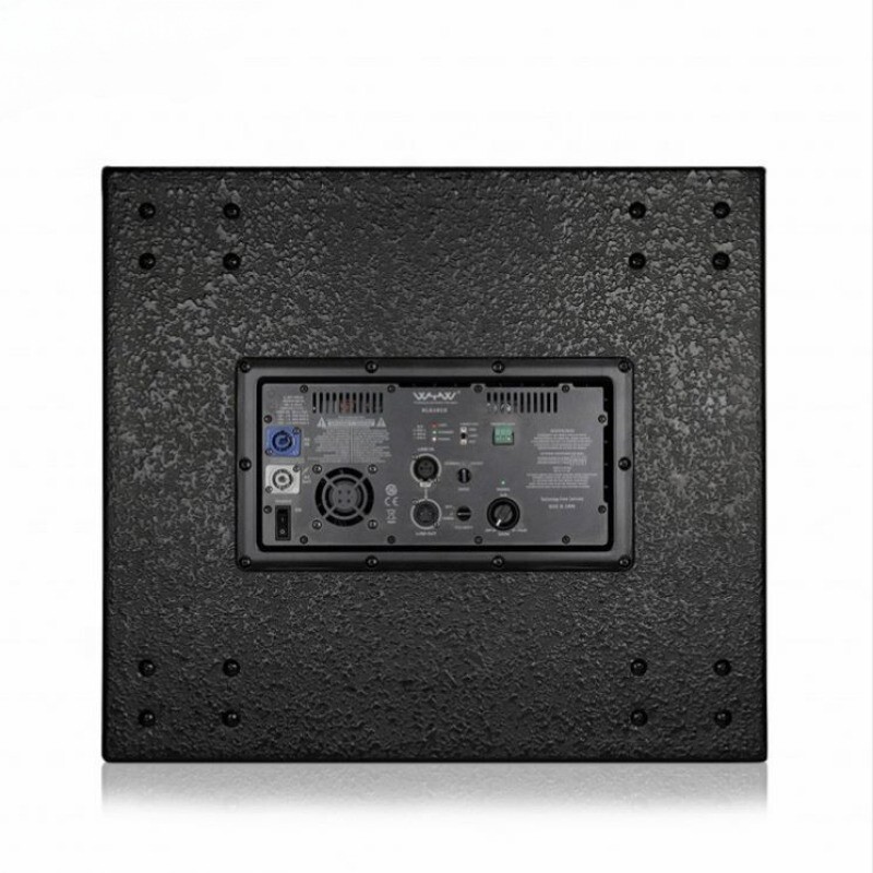 Power Module 1000 watt continuous Class D professional Power Amplifier