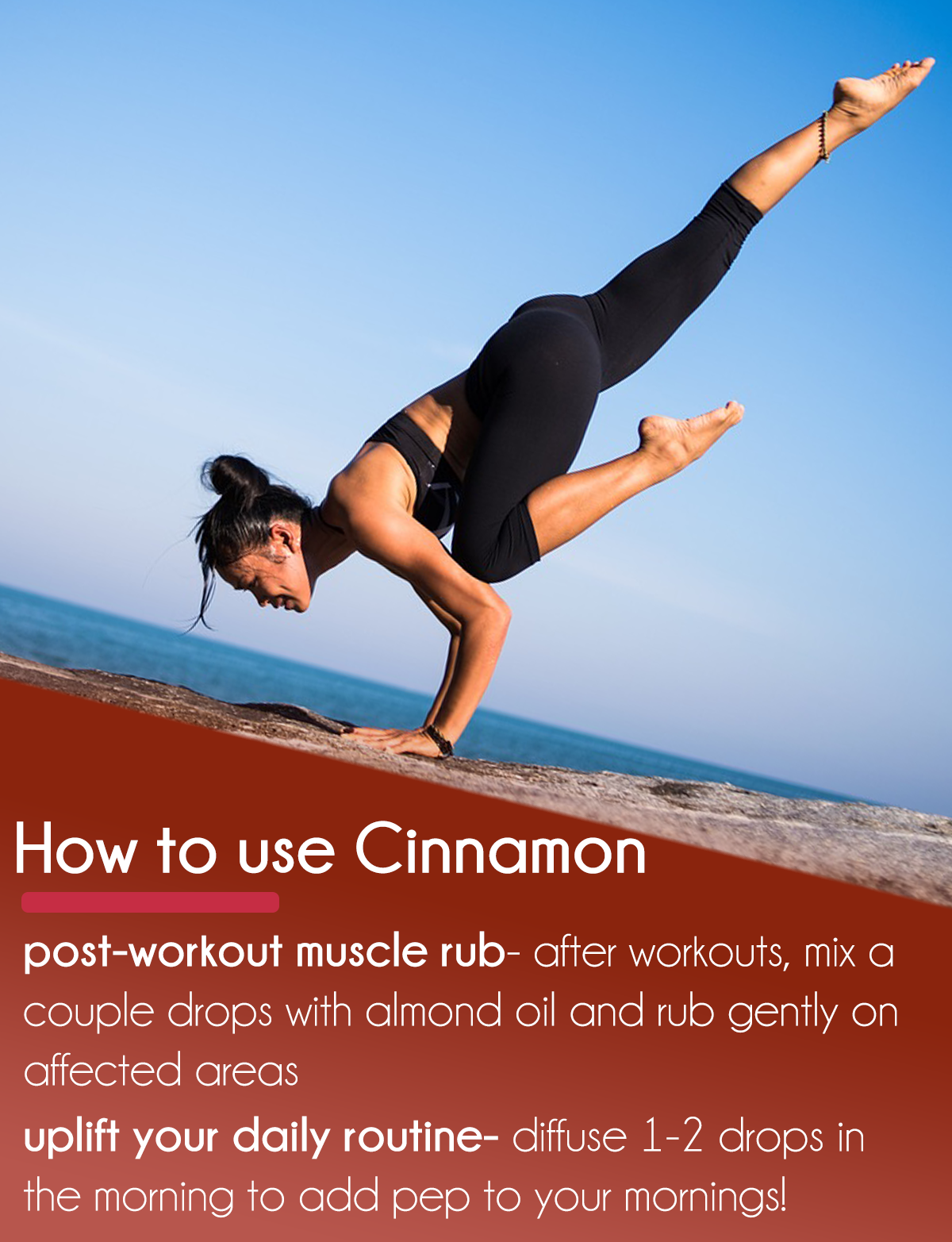 GreenHealth Cinnamon (Cassia) Essential Oil 100% Pure Many Sizes Free Shipping