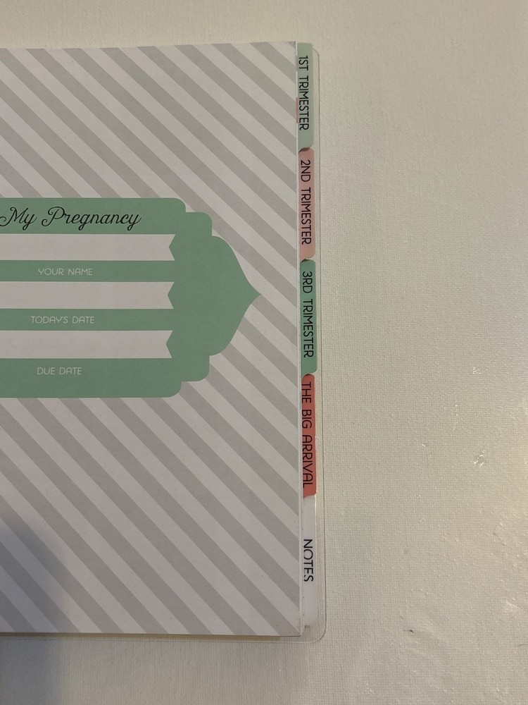 Recollections Pregnancy Spiral Planner