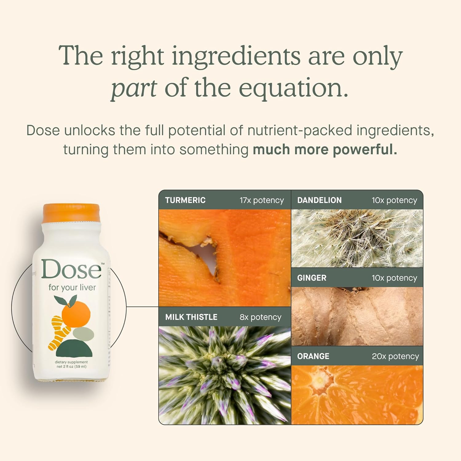 6 Dose For Your Liver --- SIX 16oz Glass Bottles ** 2027 Expiration **