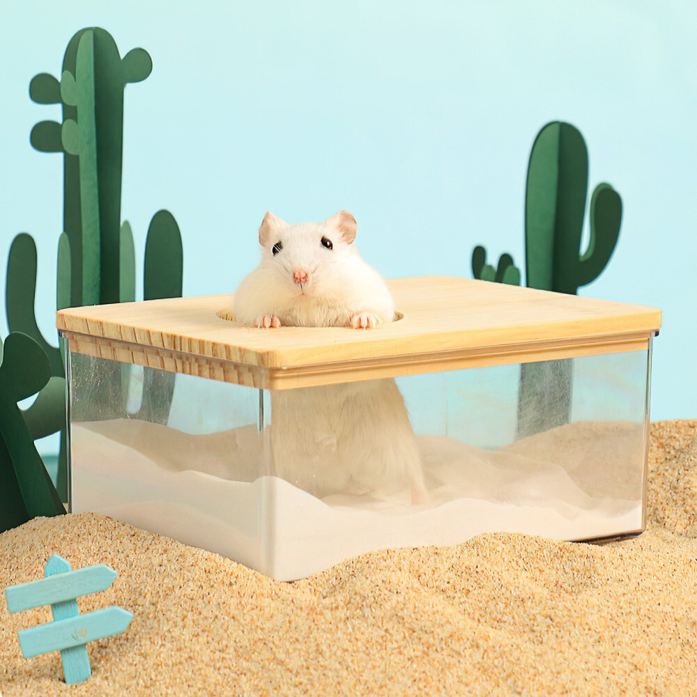 Hamster Sand Bath Container Chinchilla Bath House Small Bath Shower