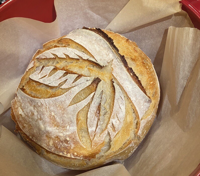 100+ Year Old Sourdough Starter